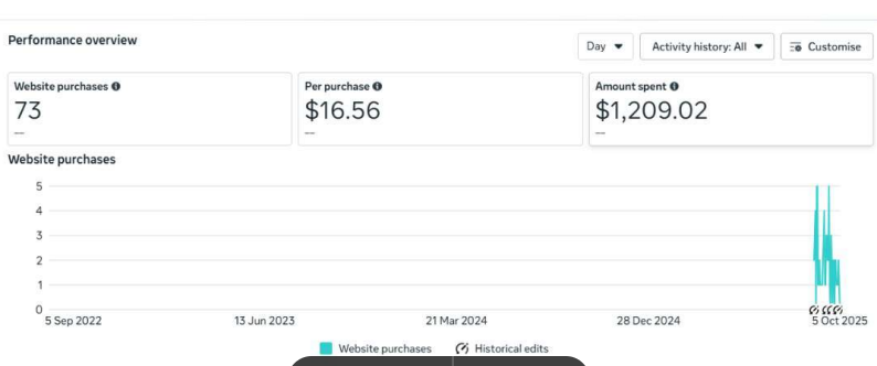 Facebook Ads E-commerce Campaign Result — 73 purchases at $16 cost per purchase